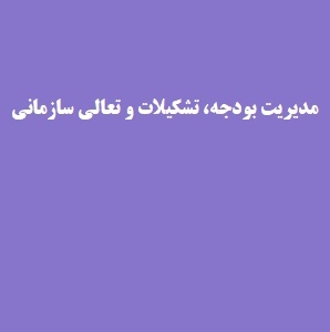 مدیریت بودجه، تشکیلات و تعالی سازمانی